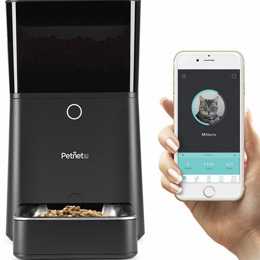 feed your cat remotely